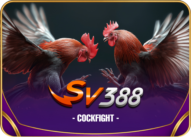 1de15a9b-9484-4c4a-bd03-1a95ba96cf781770719393